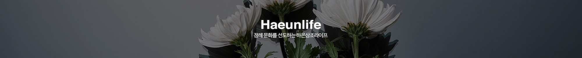 하은상조라이프_이미지pc
